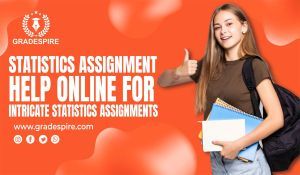Statistics Assignment Help Online for Every Student's Needs
